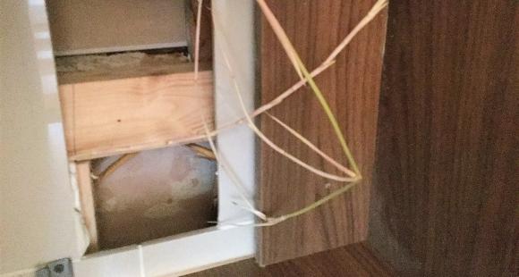 Bamboo under a sink cupboard