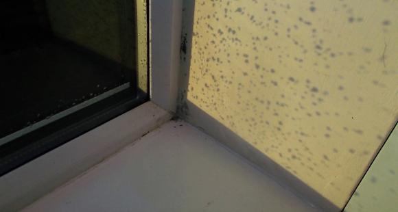 condensation mould