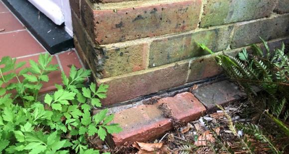 Damp proof course