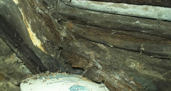 Dry Rot Roof Timber