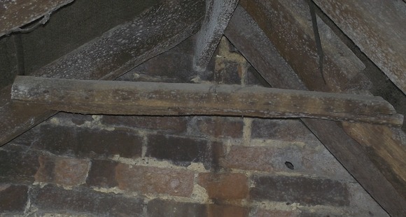 Mould in loft space