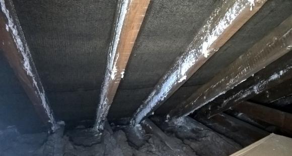 Rotting loft roof timbers